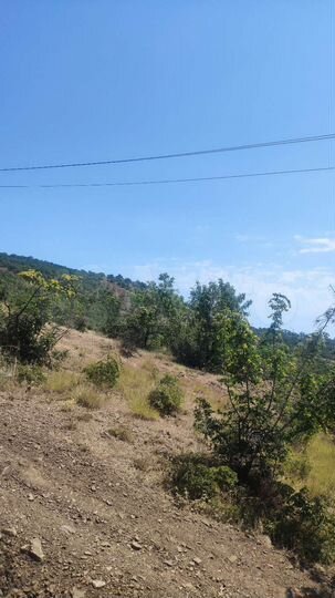 Участок 6 сот. (ИЖС)