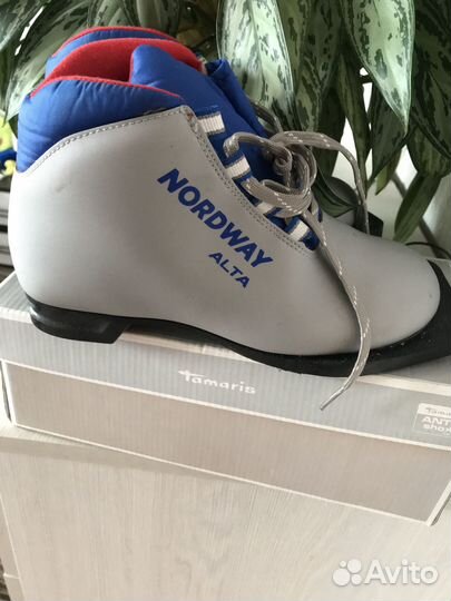 Продам лыжи