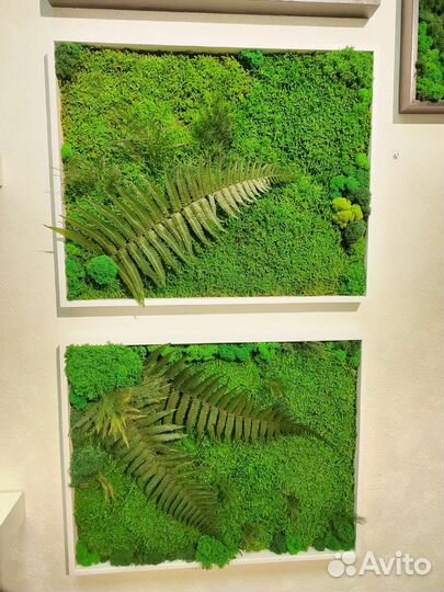 Панно из стабилизированного мха в наличии