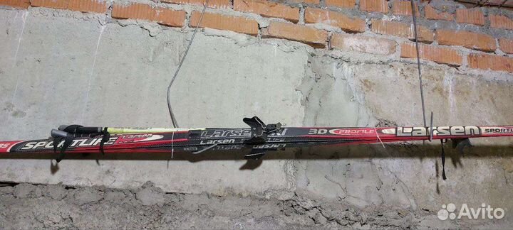 Горные лыжи