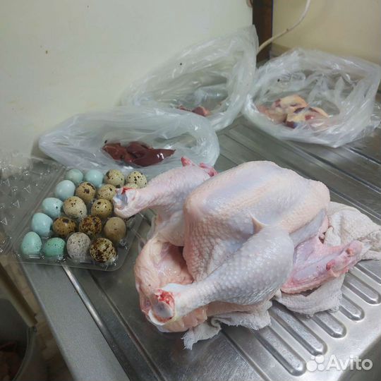 Курица домашняя, перепелиные яйца