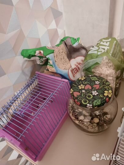 Сирийский хомяк с клеткой