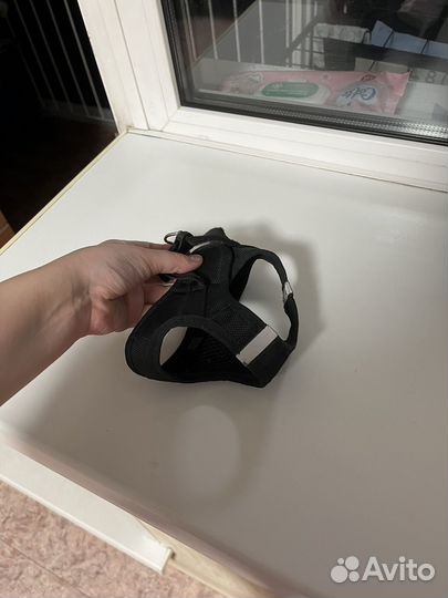 Шлейка для маленькой собаки