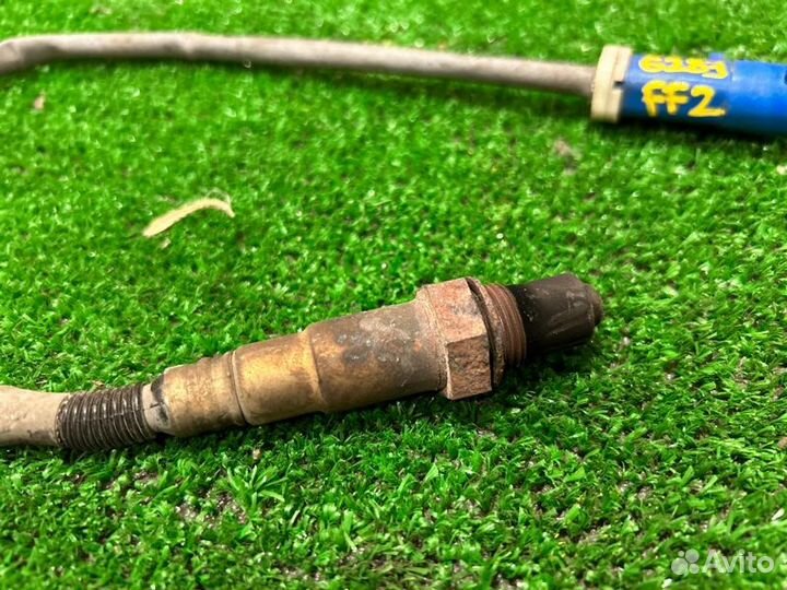 Датчик кислородный Ford Focus 2 CB4 1.6 100лс