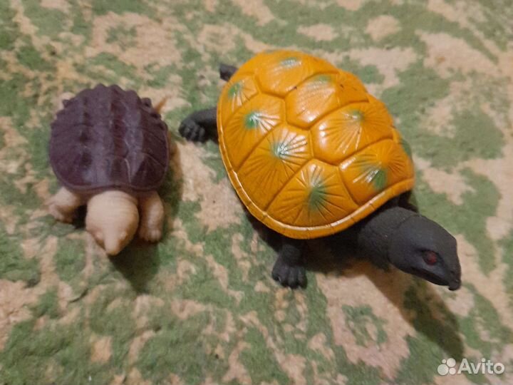 Черепашкы ниндзя