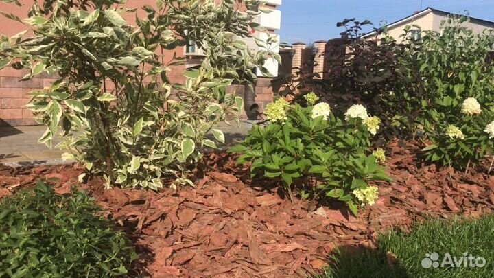 Кора для мульчирования (сосновая), в мешках