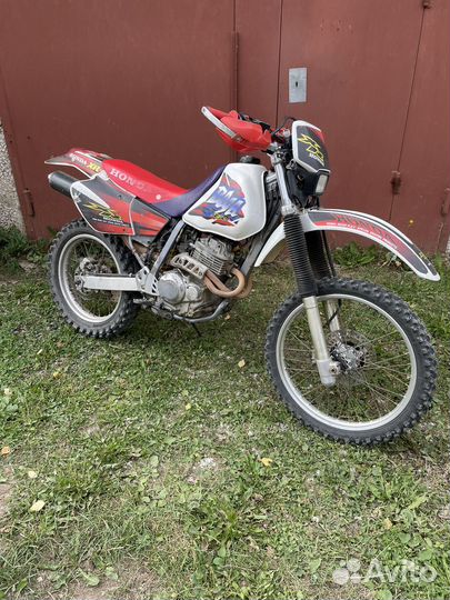 Xonda XR250 baja
