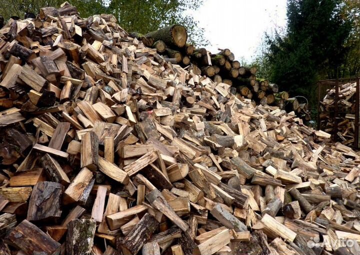 Дрова береза осина