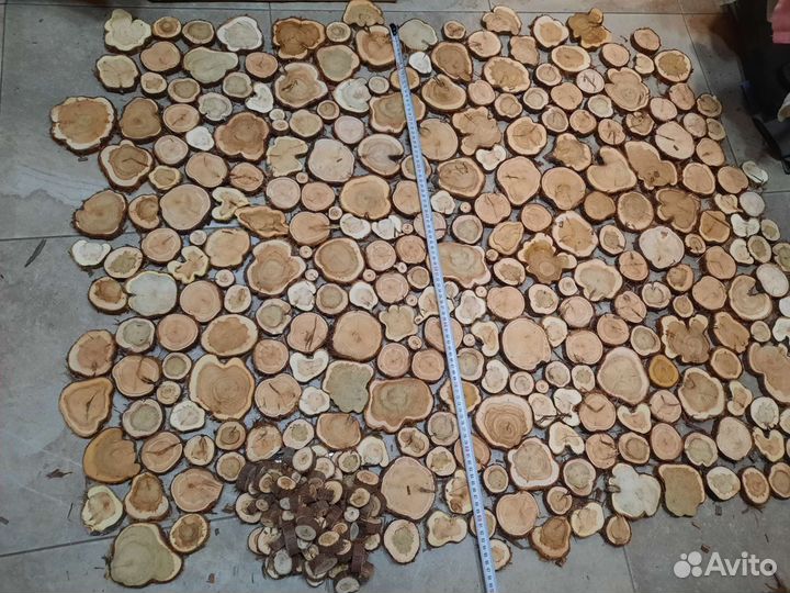 Спилы дерева можжевельник