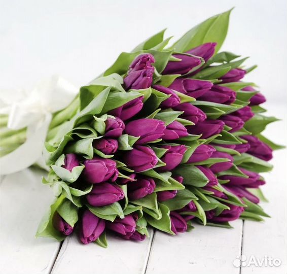 Тюльпаны к 8 марта