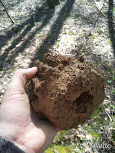 Шестерня ВОВ