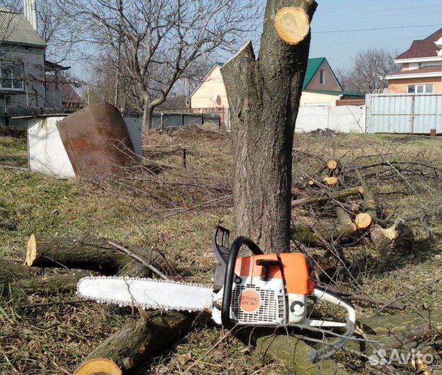 Корчевание, расчистка участков, спил деревьев