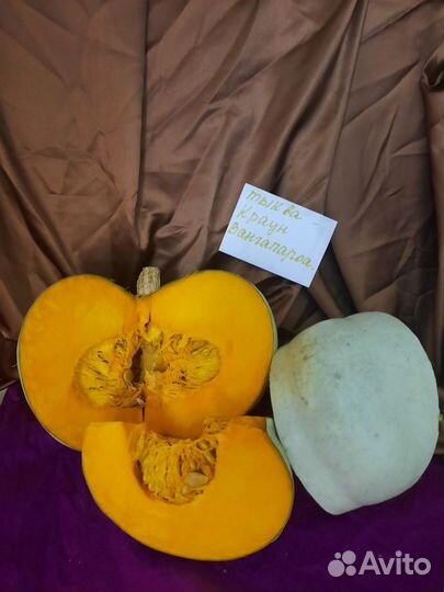 Тыква редких сортов