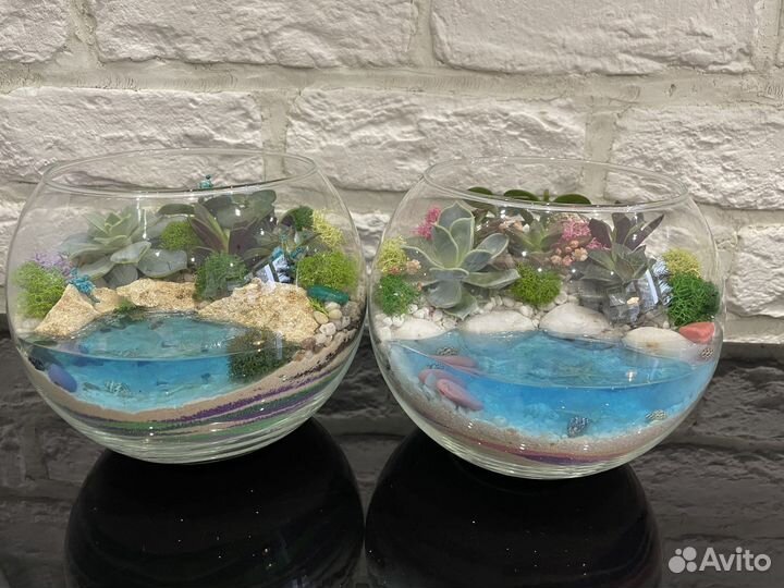 Флорариум на день рождения,День матери, Новый год