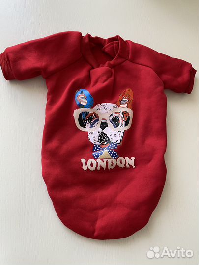 Одежда для собак