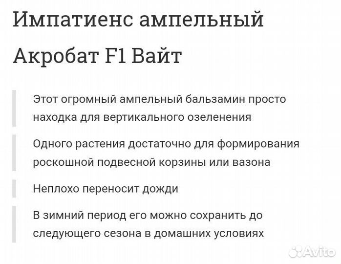 Бальзамин Импатиенс Акробат