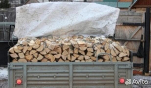 Дрова береза