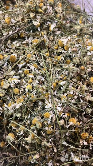 Ромашка сушеная
