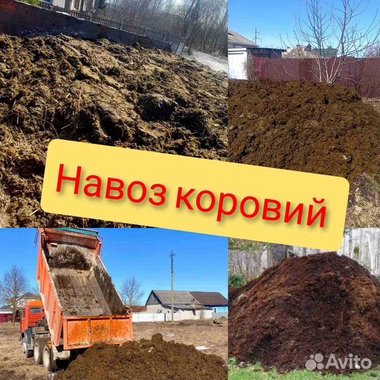 Навоз коровий камаз