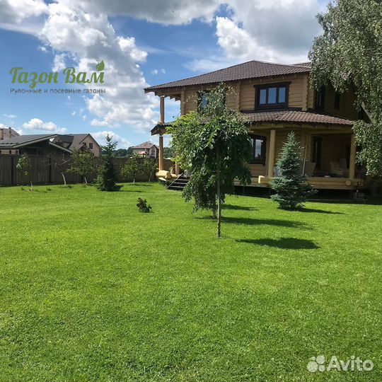 Газон укладка