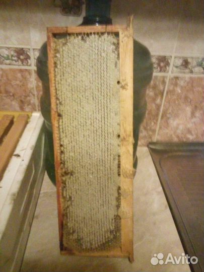 Улья б/у, рамки с сушью, подставки для ульев