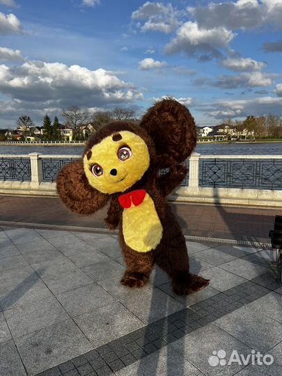 Поздравление Чебурашки Аниматор