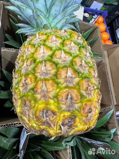 Ананас самолетная доставка