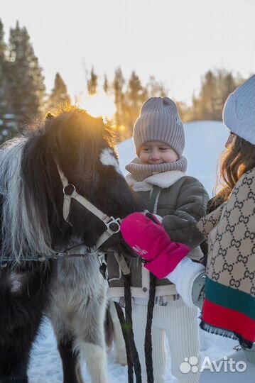 Развлечения для детей