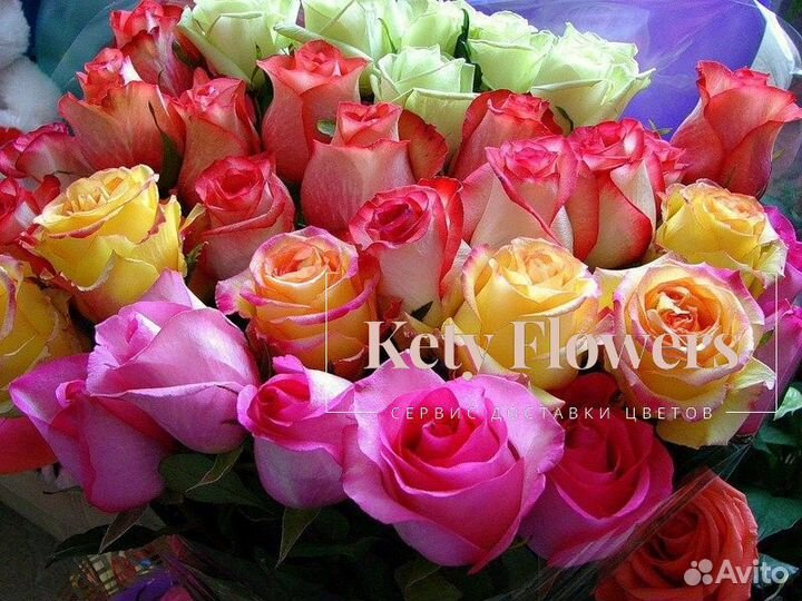 Розы Цветы 25 51 151 201 101 301 501 опт