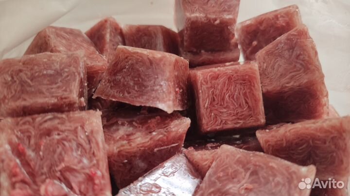 Замороженные корма для рыбок