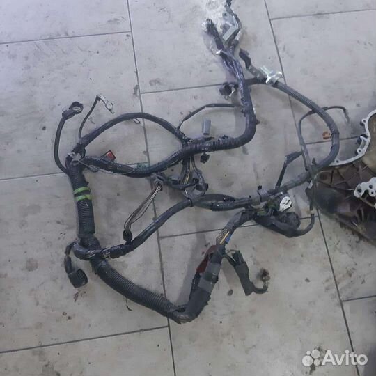 Коса моторная мазда форд