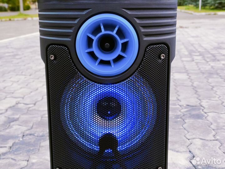 Колонка с микрофоном