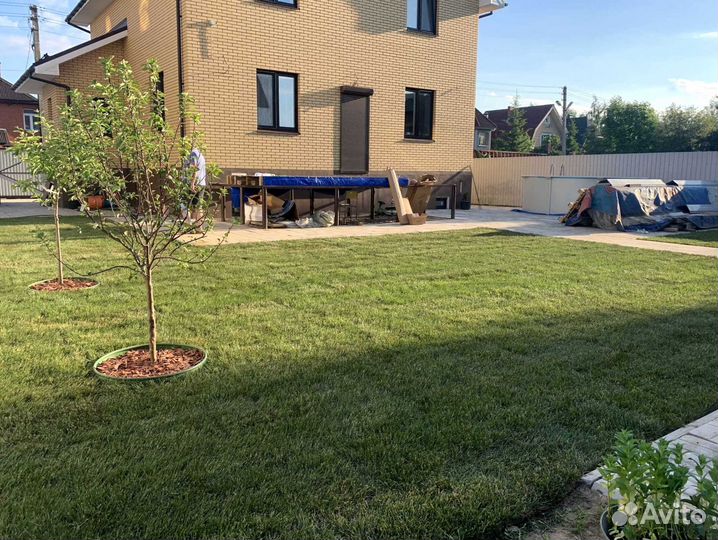 Рулонный газон