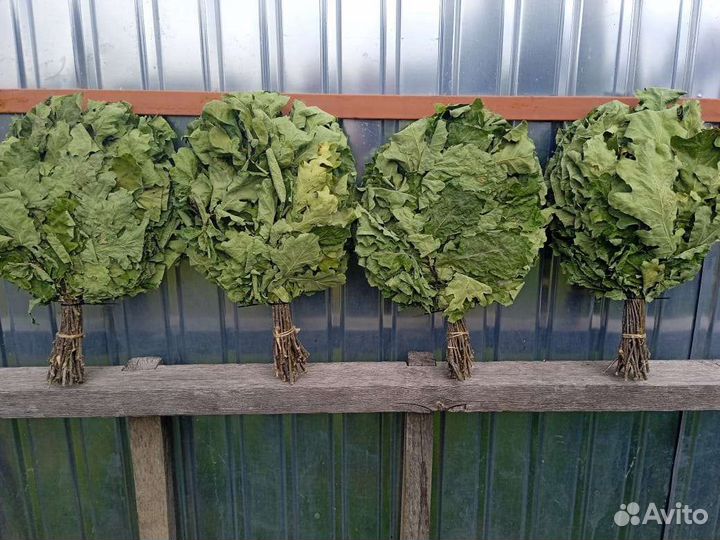 Веники дубовые