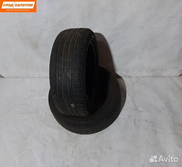 Autogrip P308 205/55 R16