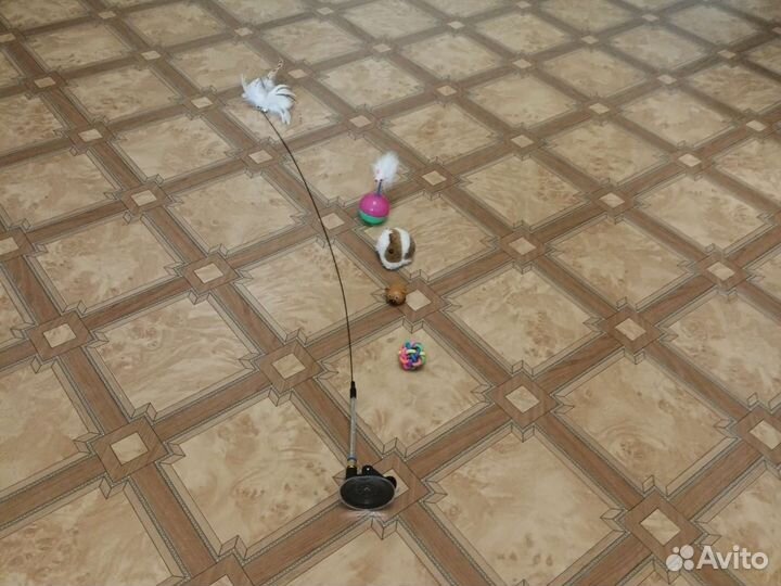 Товары для животных