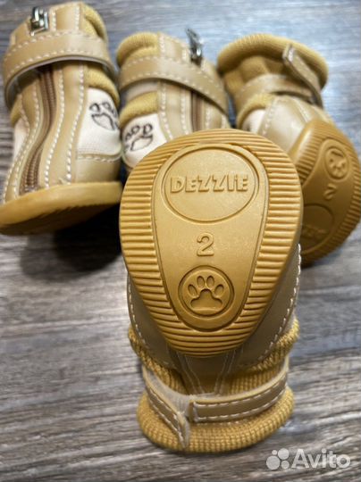 Новая обувь для собак мелких пород