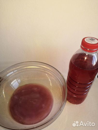 Чайный Гриб Комбуча