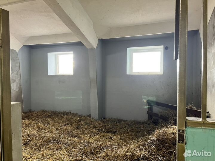 Постой для лошадей