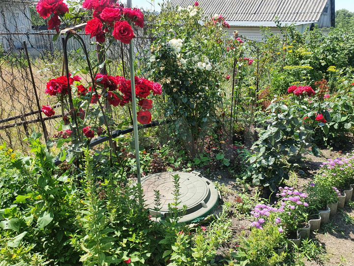 Дом 67 м² на участке 4,5 сот.