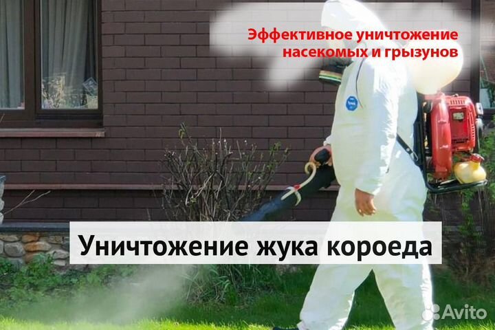 Уничтожение клопов тараканов грызунов плесени