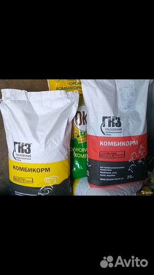 Куры молодки несушки, бройлеры, утки, муларды