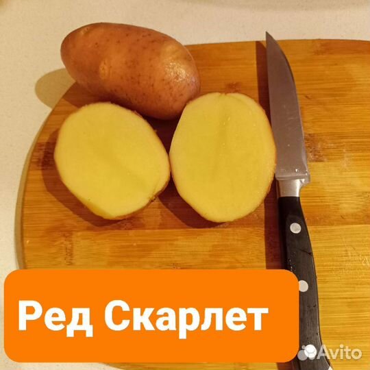 Семенной картофель хорошего качества