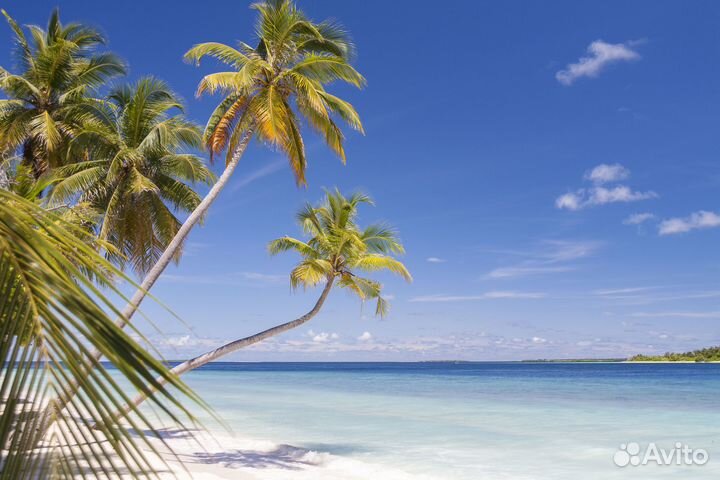 Мальдивские острова для всей семьи с перелетом