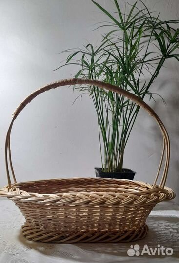 Модельные плетеные корзины