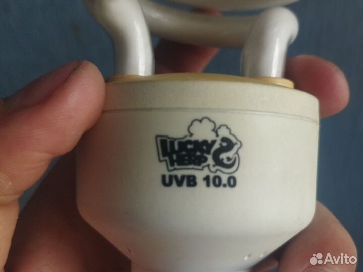 Лампочка для ящерицы