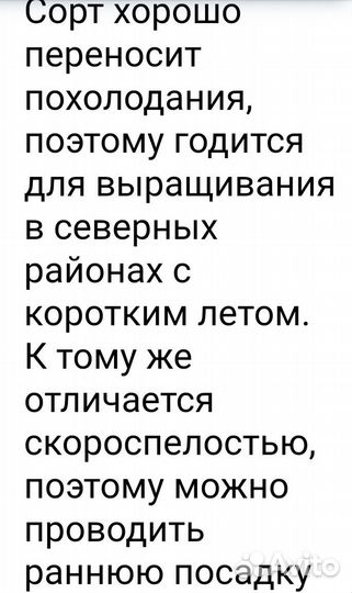 Рассада огурцов, томатов, острого перца