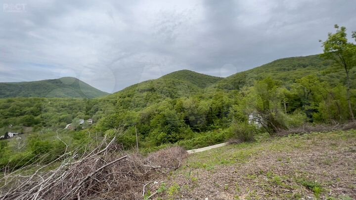 Участок 4,3 сот. (СНТ, ДНП)