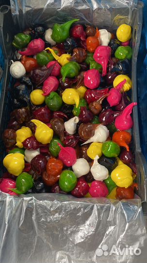 Чурчхела оптом