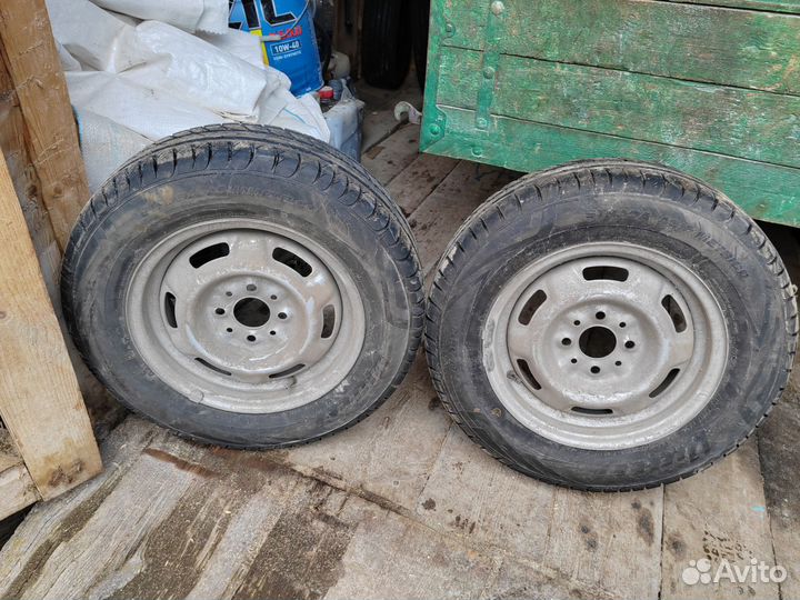 Viatti Vettore Inverno V-524